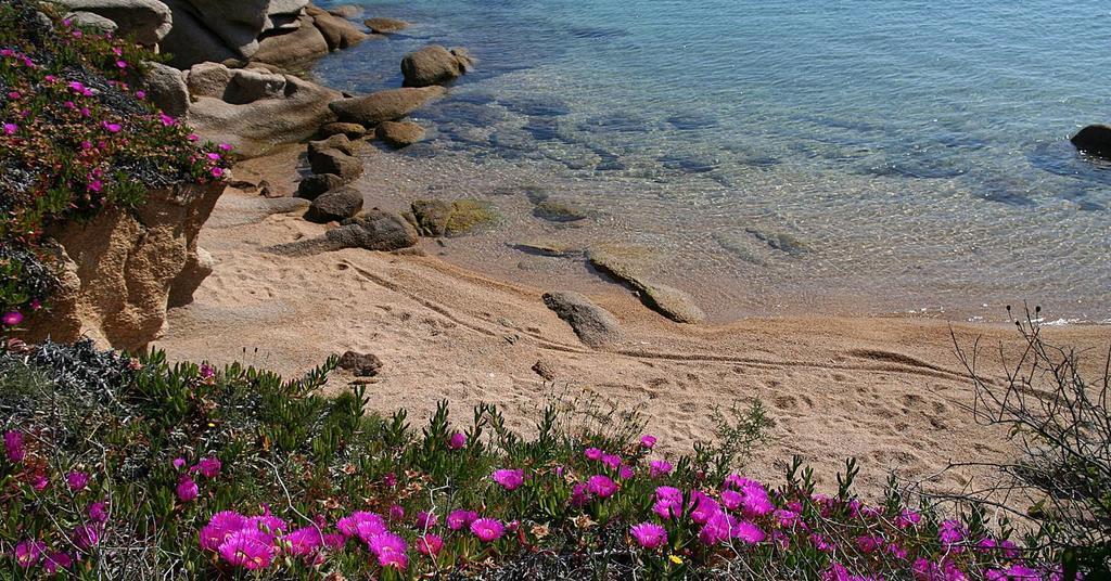 Appartamenti Galatea Palau Eksteriør bilde
